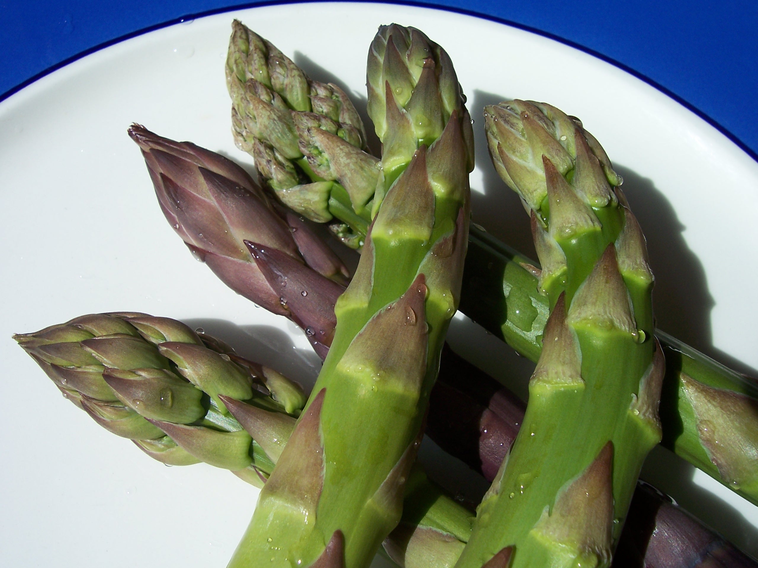 Asperges op bord